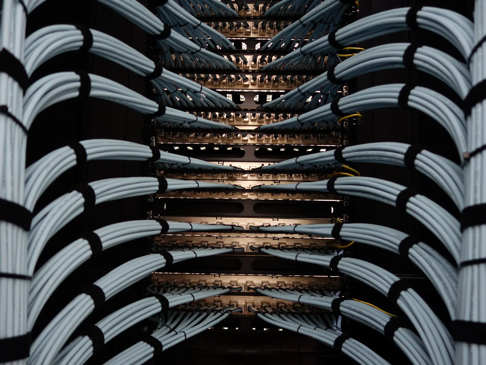 Grey data cables dressed in neat curves into a row of patch panels