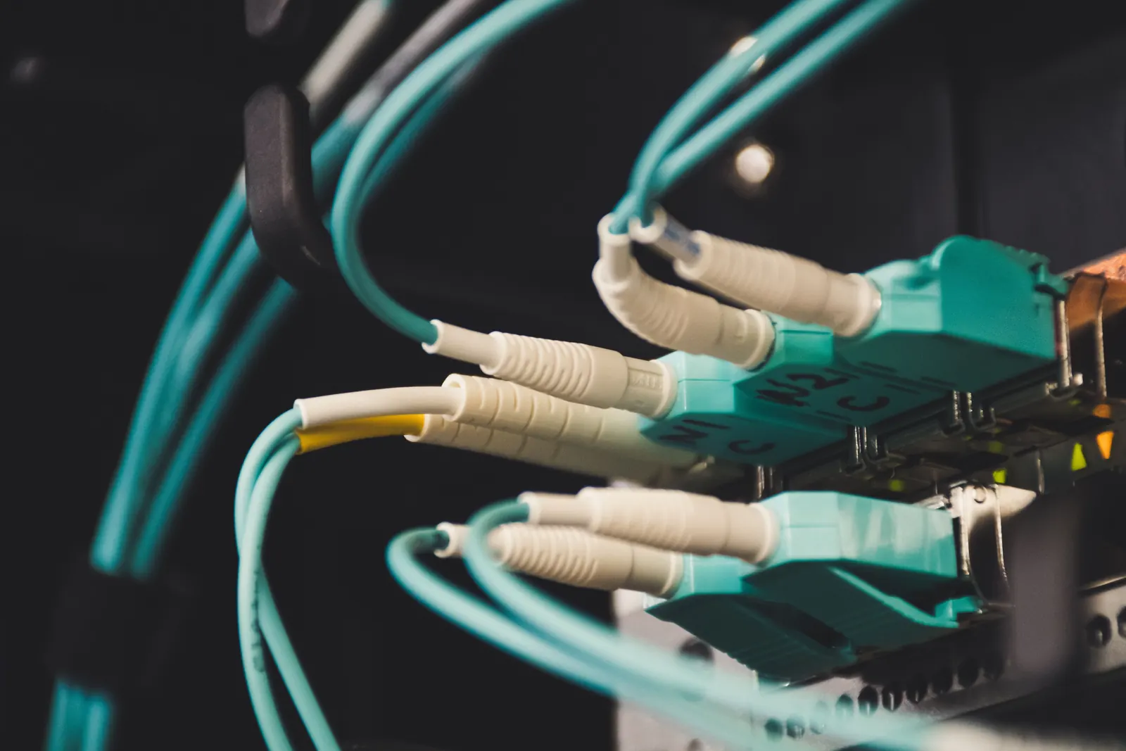 Fiber patch cords with LC connectors plugged into a fiber panel